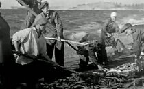На малом море.1941 год - война